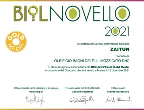 Biol Novello Zaitun