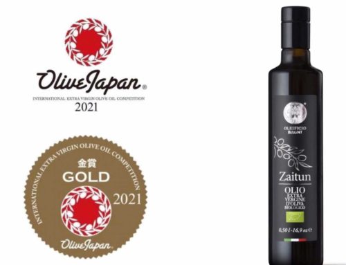 Zaitun Olive Japan 2021